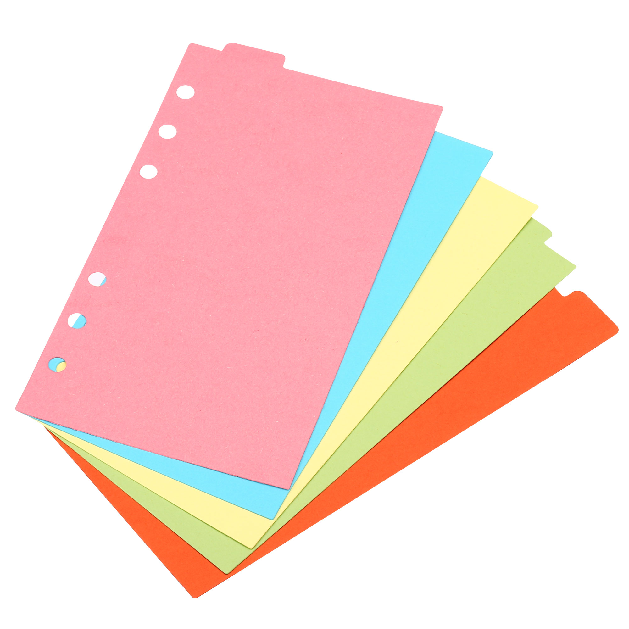 Separadores de índice de carpe - Index Tab Divider reseña y precio